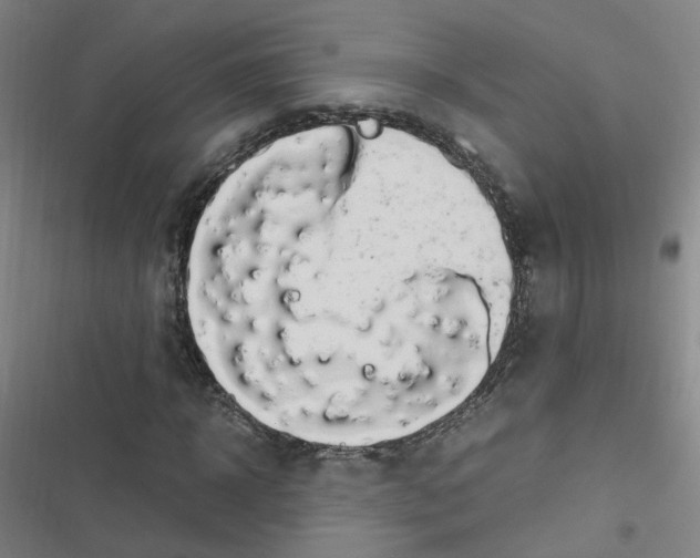 X0000116640918201001251133