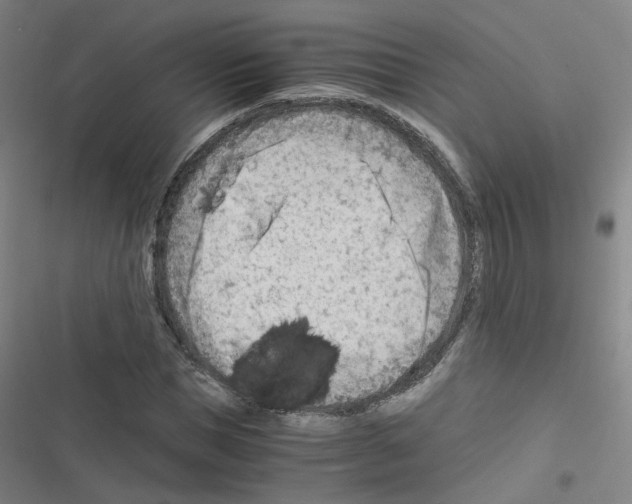 X0000116640921201001251133