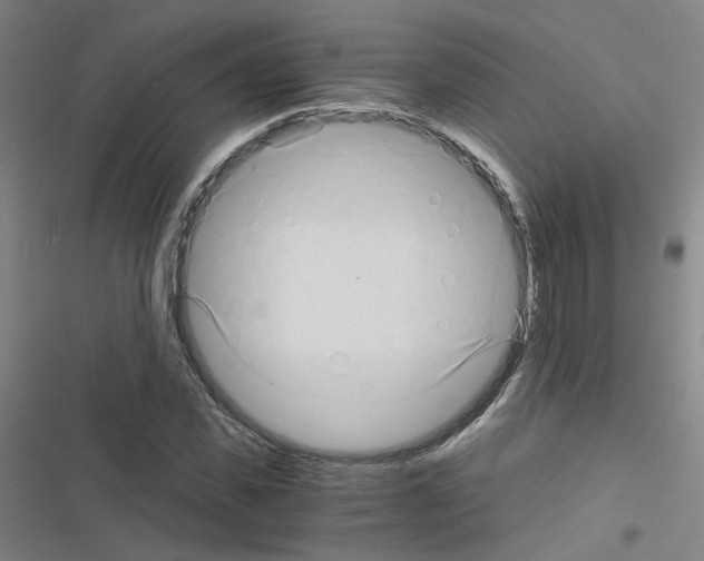 X0000116640925201001251133