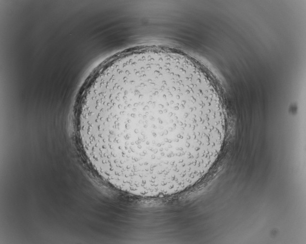 X0000116640927201001251133