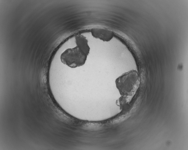 X0000116640929201001251133