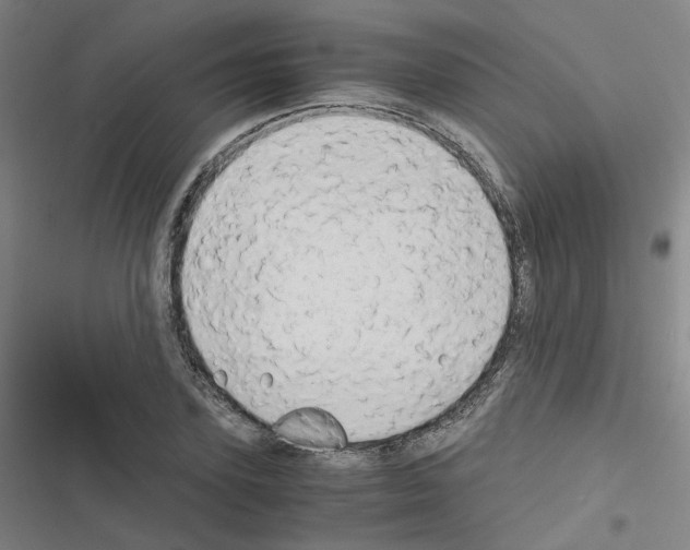 X0000116640931201001251133