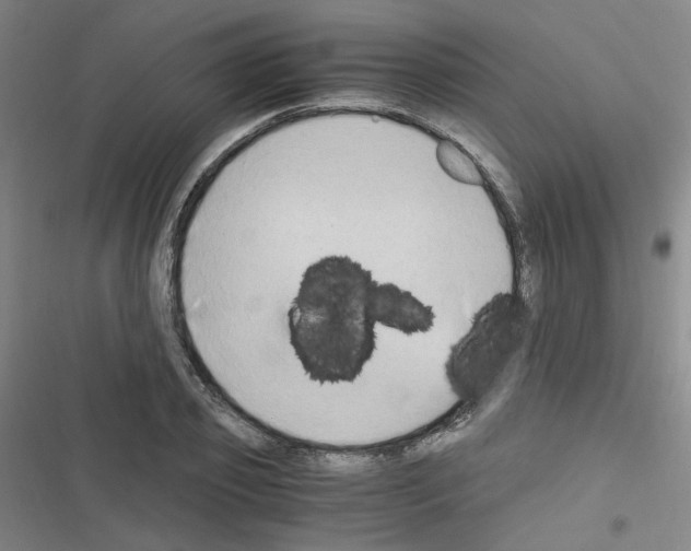 X0000116640933201001251133