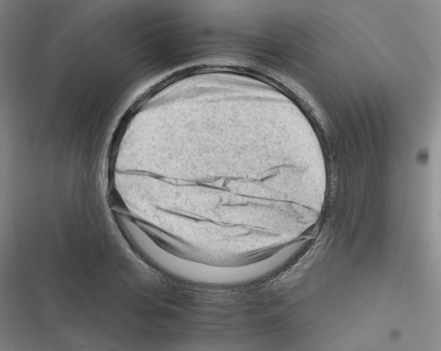 X0000116640935201001251133