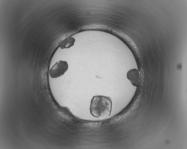 X0000116640937201001251133