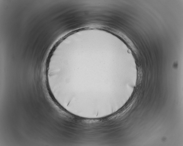 X0000116640939201001251133