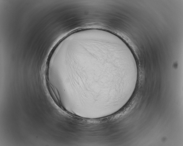 X0000116640941201001251133