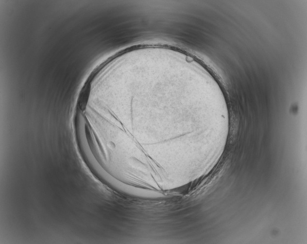 X0000116640943201001251133