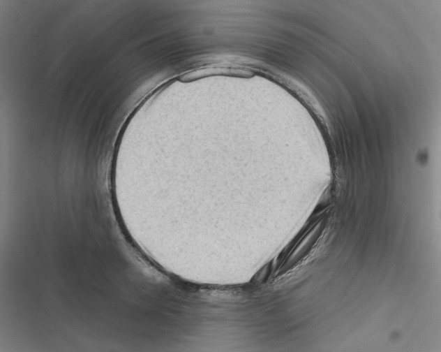 X0000116640946201001251133