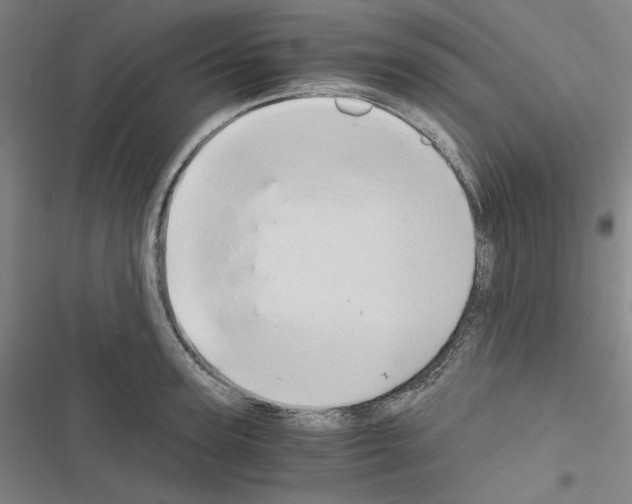 X0000116640947201001251133