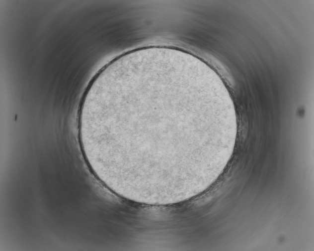 X0000116640950201001251133