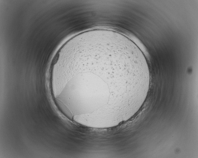 X0000116640955201001251133