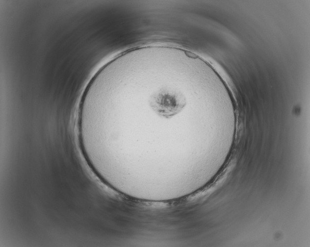 X0000116640957201001251133