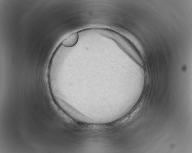 X0000116640958201001251133