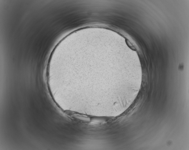 X0000116640959201001251133