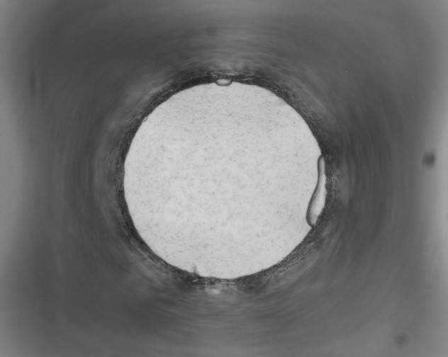 X0000116640961201001251132