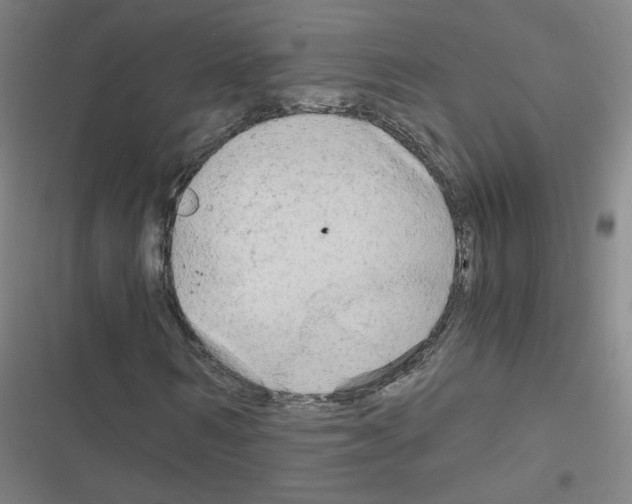 X0000116640962201001251132