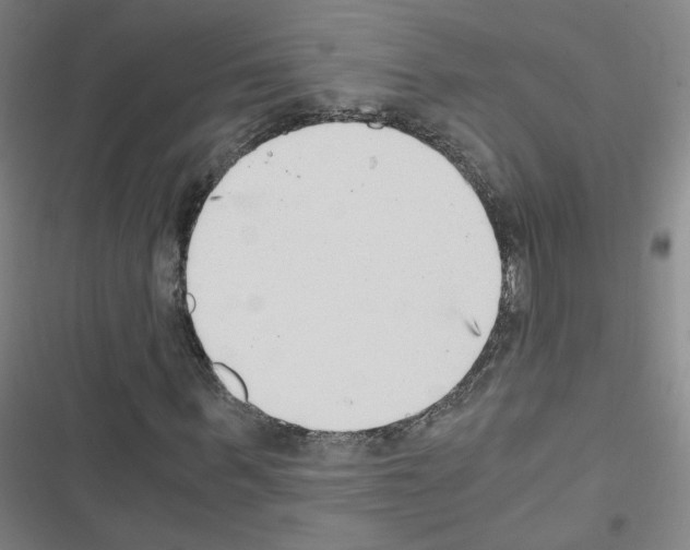 X0000116640963201001251132