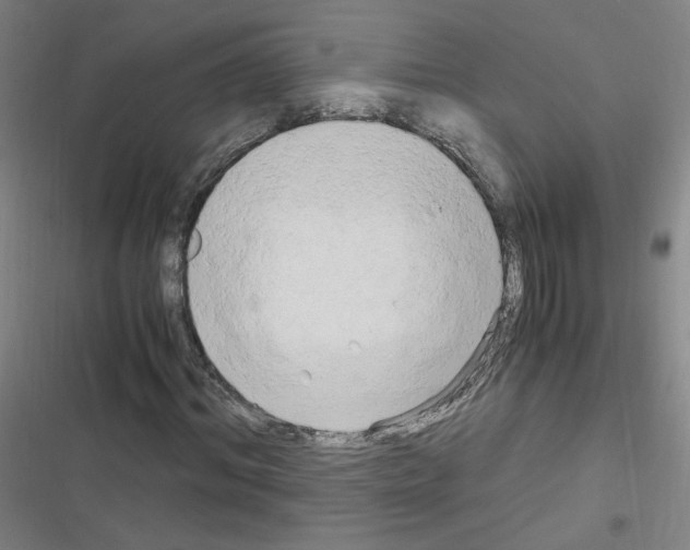 X0000116640964201001251132