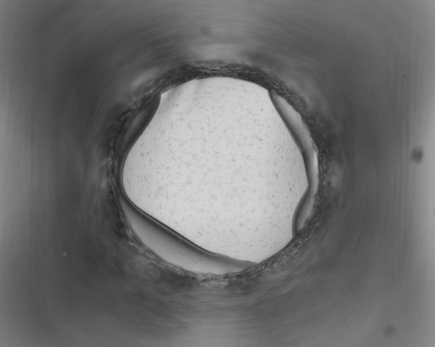 X0000116640965201001251132