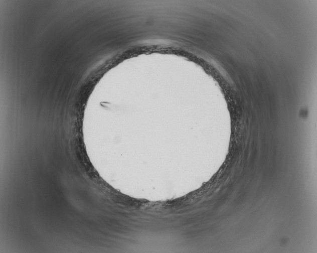 X0000116640967201001251132