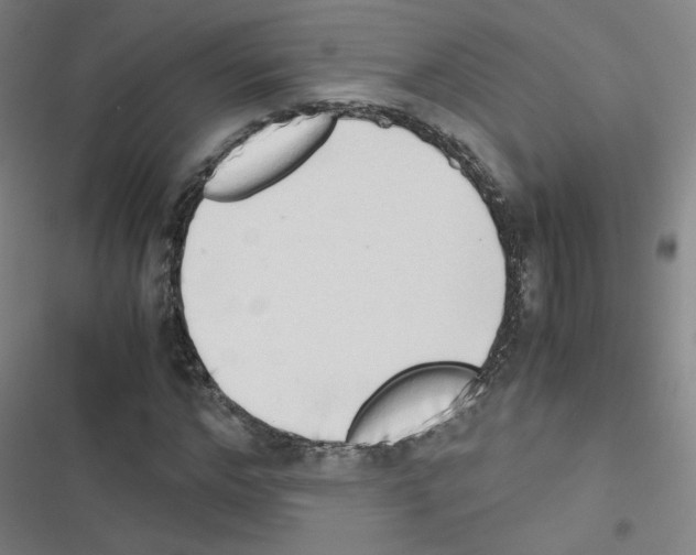 X0000116640968201001251132