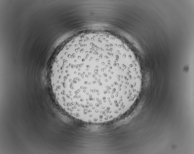 X0000116640970201001251132