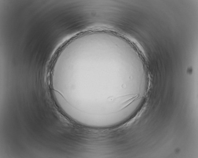 X0000116640973201001251132