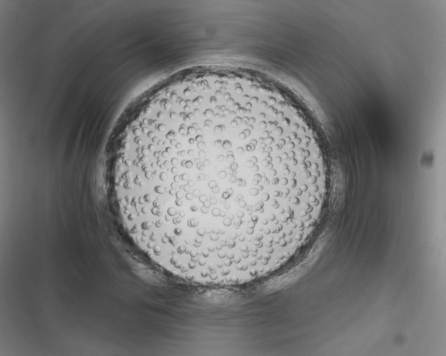 X0000116640974201001251132