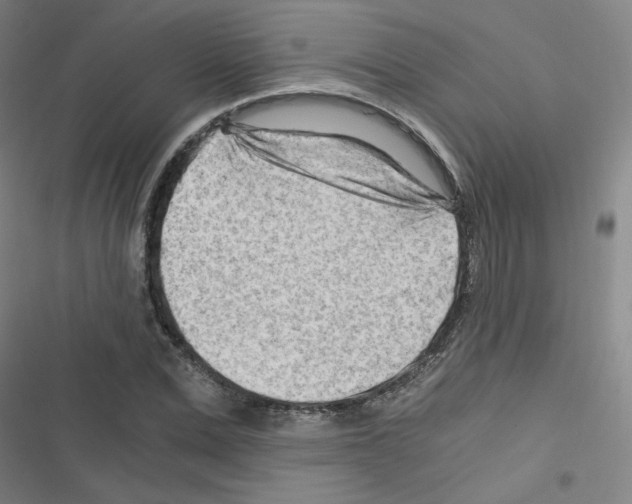 X0000116640975201001251132