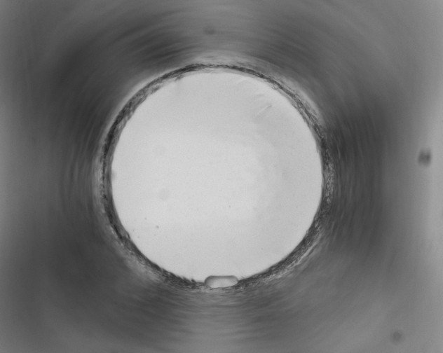 X0000116640976201001251132