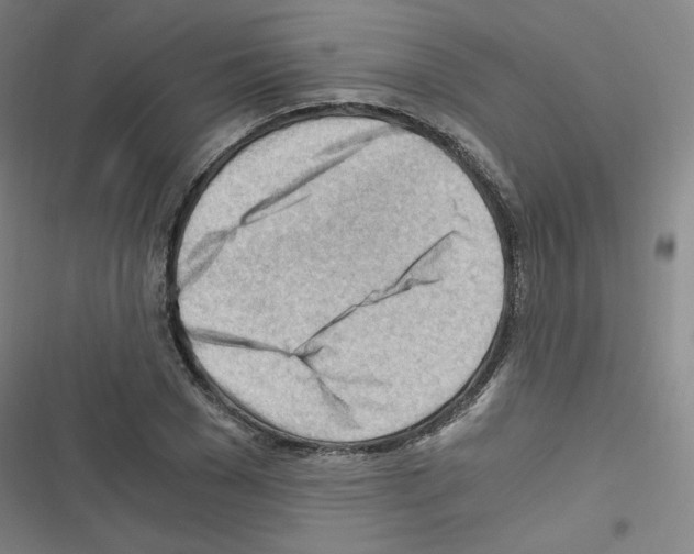 X0000116640977201001251132