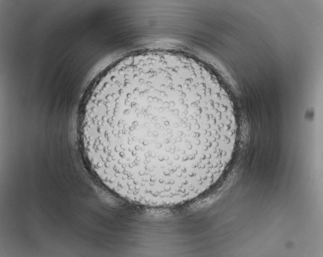 X0000116640978201001251132