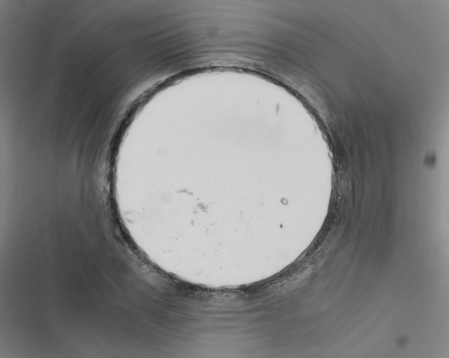 X0000116640979201001251132