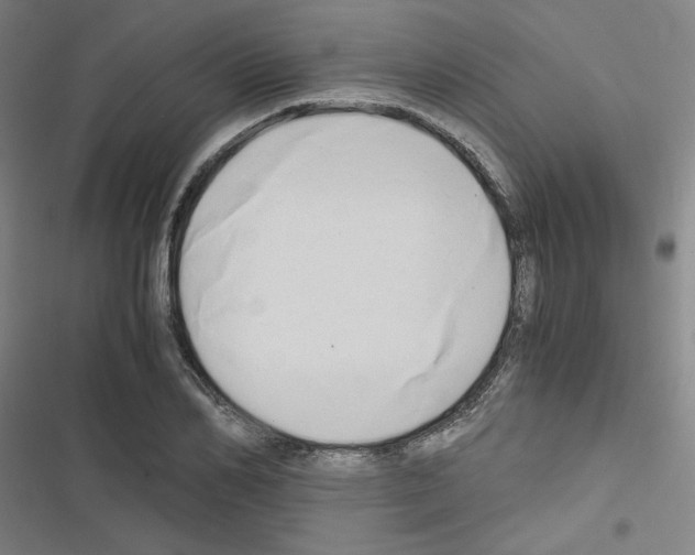 X0000116640982201001251132