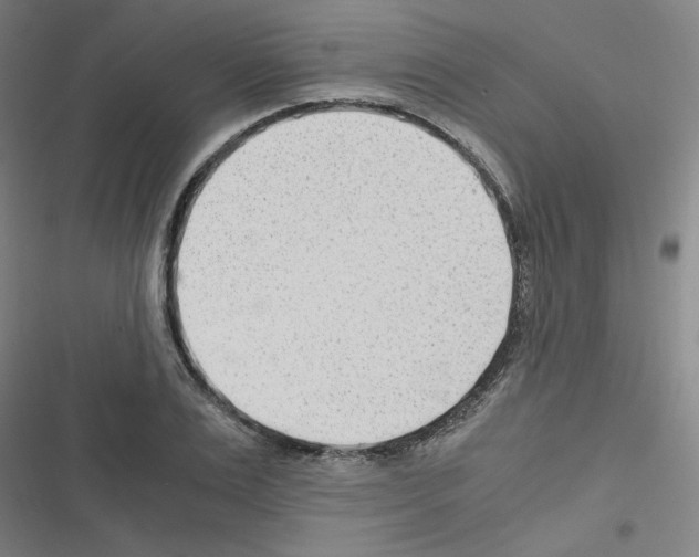 X0000116640983201001251132