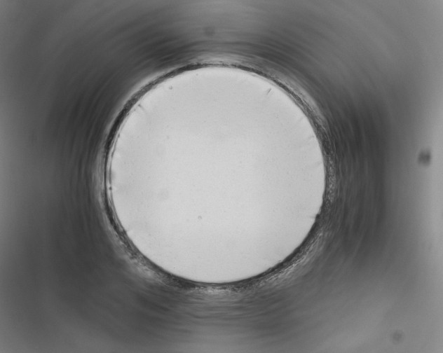 X0000116640984201001251132