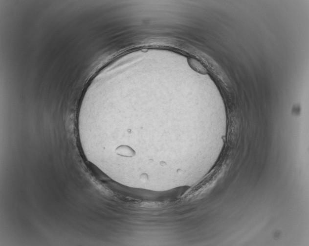 X0000116640985201001251132