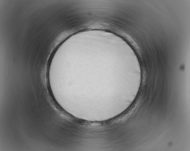 X0000116640986201001251132