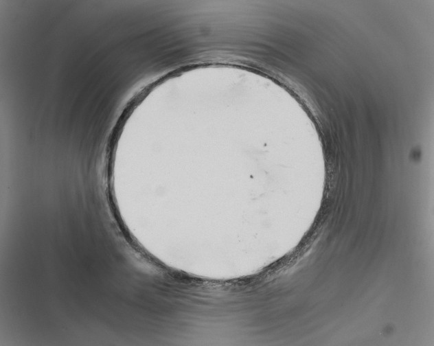 X0000116640987201001251132