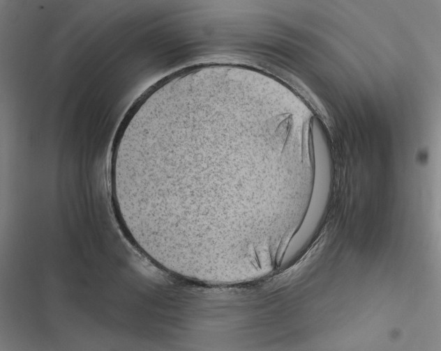 X0000116640988201001251132