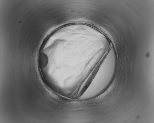 X0000116640989201001251132