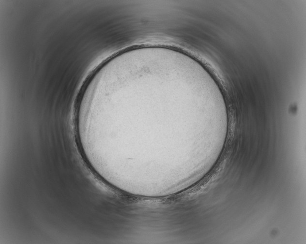 X0000116640990201001251132