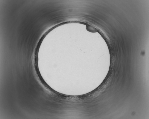 X0000116640991201001251132