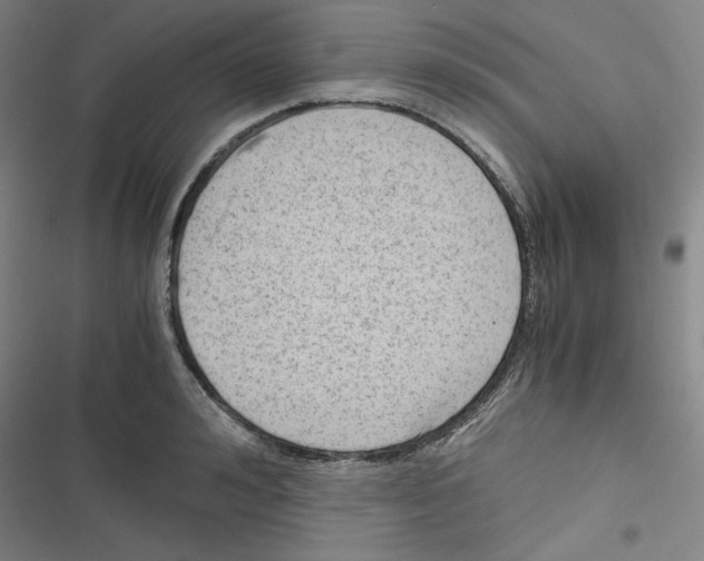 X0000116640992201001251132