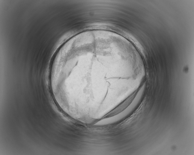 X0000116640994201001251132