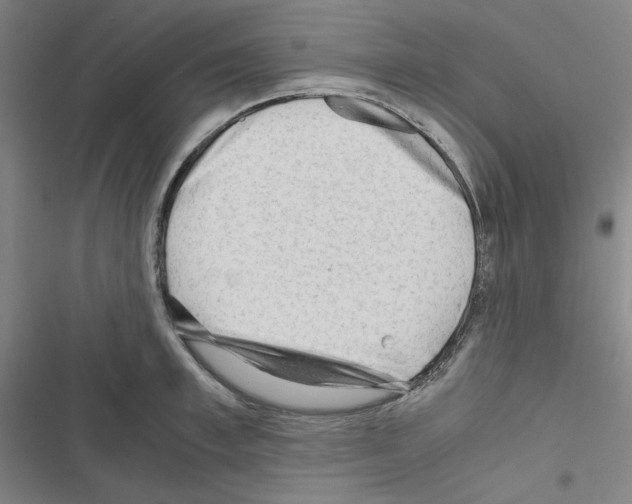 X0000116640997201001251132