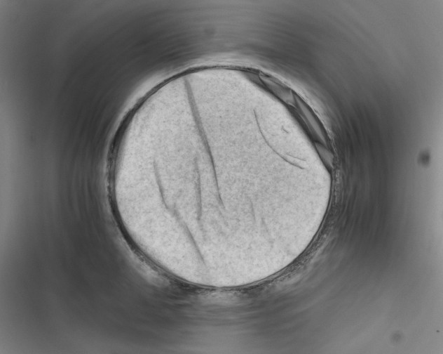 X0000116640998201001251132