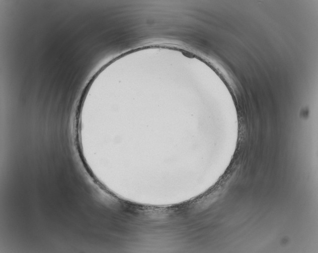 X0000116640999201001251132