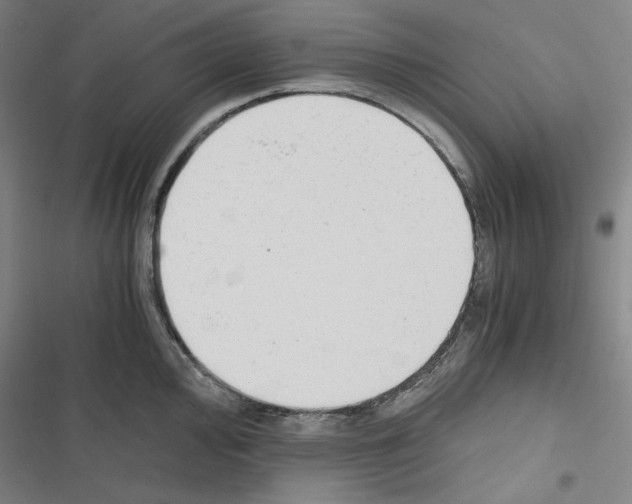 X0000116641000201001251132